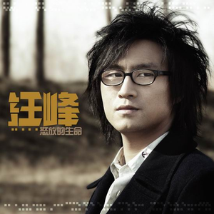 黄色一级片在线
